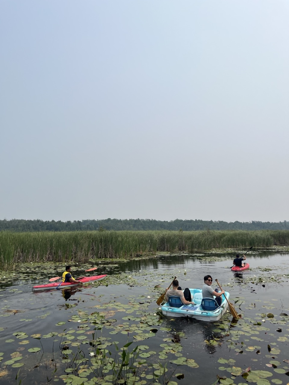 Kayaking through the lily-pad wetland